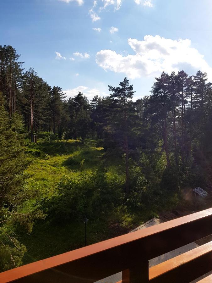 Zlatibor Holiday, Vila Leonardo VI Apartment ภายนอก รูปภาพ