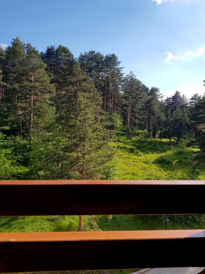 Zlatibor Holiday, Vila Leonardo VI Apartment ภายนอก รูปภาพ